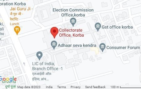 mushroom cake, special cake, healthy cake, Nutritious mushroom cake, Korba news, mushroom nutrition, chhattisgarh news, cake shop korba, best cake in korba, collectorate korba