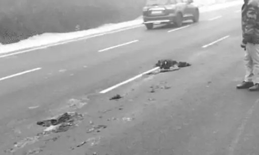 रोड पर चिपकी हडि्डयां और मांस, हाईवे पर शव को रौंदती रहीं गाड़ियां