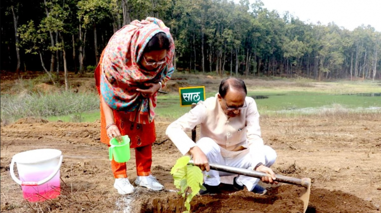 लोकल से ग्लोबल स्तर तक पहुंची शिवराज सिंह चौहान के प्रतिदिन पौध-रोपण की गूंज