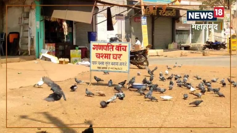 यहां कबूतरों और इंसानों के बीच है अनोखा रिश्ता, दाना-पानी की व्यवस्था करते है दुकानदार -unique relationship between pigeons and humans shopkeepers arrange food and water – News18 हिंदी