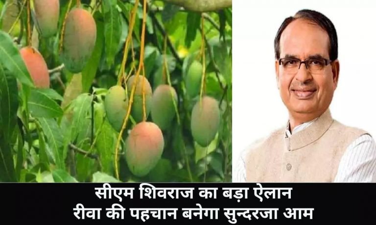 गजब: रीवा के सुंदरजा आम और मुरैना की गजक को मिला जीआई टेग, सीएम ने की सराहना