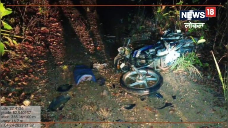 Korba News : हाथियों के दल ने बाइक सवार दो युवकों पर किया हमला, गड्ढे में कूदकर दोनों ने बचाई जान