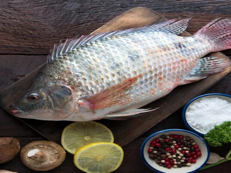 Tilapia Warning: Woman Loses Four Limbs After Eating this Fish | ये मछली खाकर मौत के करीब पहुंच गई महिला, खो दिए चार अंग, चौंका देगी हकीकत