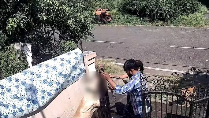 dog murdered trainer hanged dog on gate