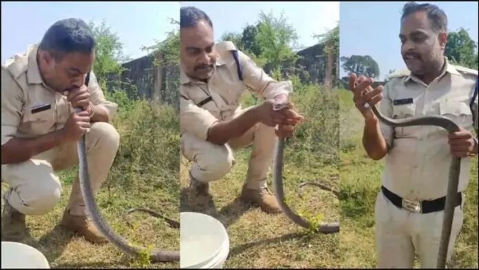Narmadapuram Police Constable Atul Give CPR Snake