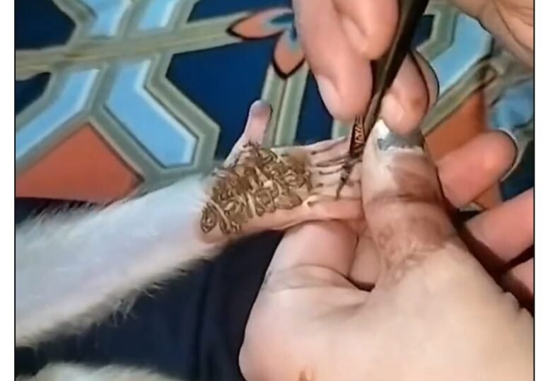 Monkey Marriage