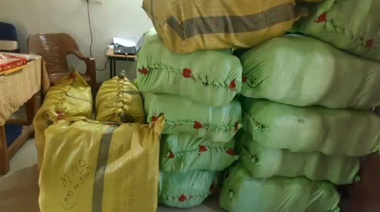 पोहा बोरी में रखकर 655 किलो गांजा की ट्रक से तस्करी कर रहे दो आरोपी गिरफ्तार