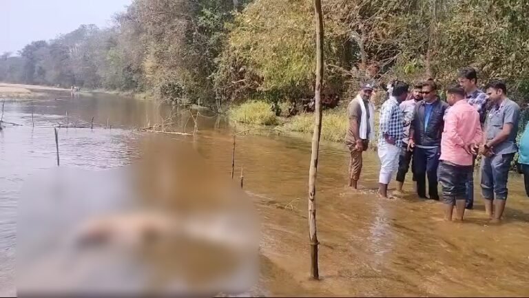 बाघ के शव बरामद,शिकार की आशंका,नाखून सहित पंजा हैं गायब।
