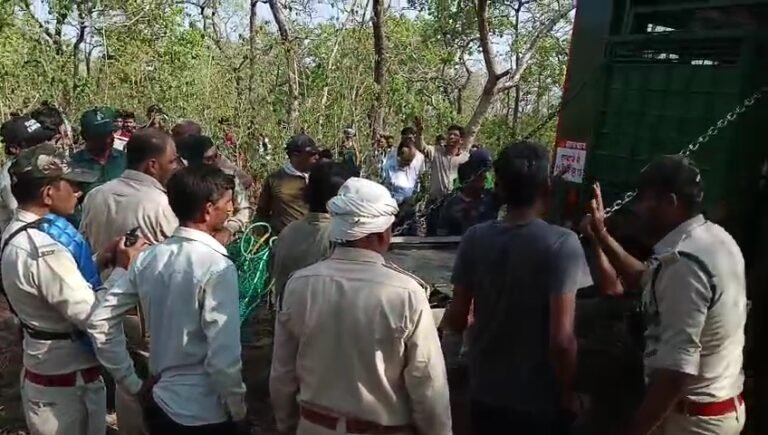 9 दिन चले ऑपरेशन में बाघिन के दोनों शावकों को किया गया रेस्क्यू।