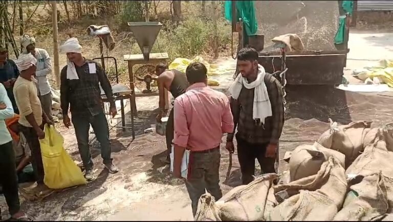 डीएमओ ने किया खरीदी केंद्रों का निरीक्षण उच्च गुणवत्ता का ही माल खरीदें प्रबंधक।