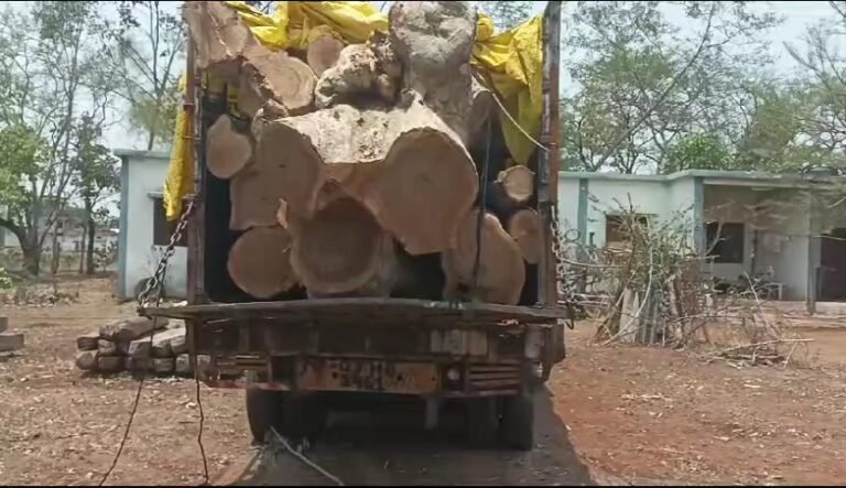 अवैध लकड़ियों  का परिवहन कर रहे ट्रक को वन अमले ने पकड़ा।