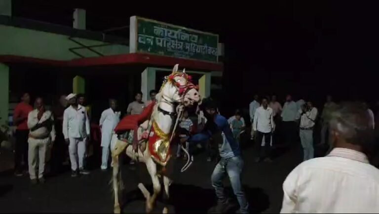 पहले घोड़े ने किया डांस, फिर सवार हुए रेंजर साहब, गावँ में घूमे और फिर दी गई विदाई..