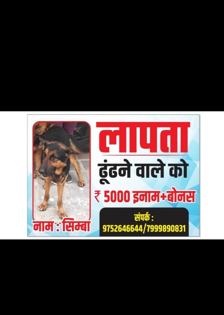 लापता कुत्ते पर 5 हजार का इनाम