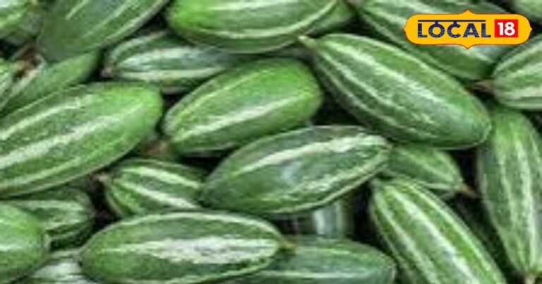 फायदे का सौदा है इस सब्जी की खेती, किसानों को हो रहा जबरदस्त फायदा; खेत में लगाते ही हो जाती है बुकिंग