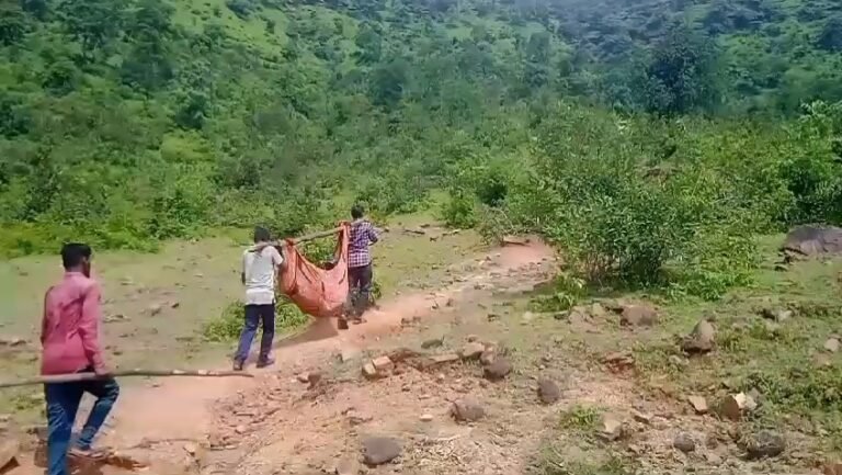 पवई विधानसभा क्षेत्र में डोली में हिचकोले खा रहा विकास। इलाज के अभाव में कराहते कराहते मर गई आदिवासी महिला, हुई मौत।