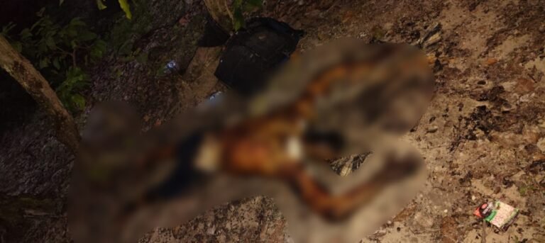 मढ़ीबाह के जंगल मे मिला युवक का शव पुलिस जांच में जुटी।