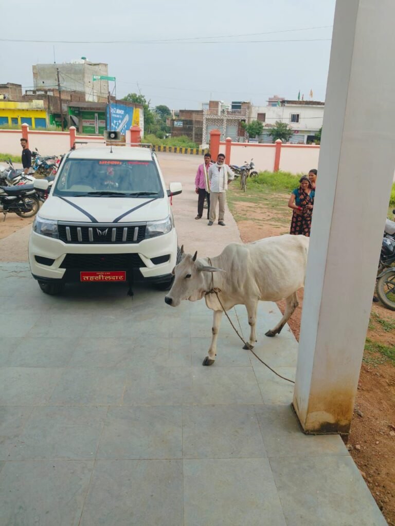 जमीन पर स्टे के लिये एसडीएम ने मांग रिश्वत, तो महिला रिश्वत के रूप में गाय लेकर पहुंची कार्यालय