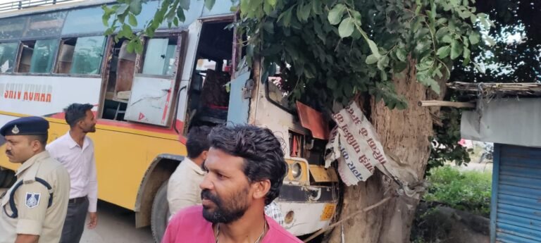 पेड़ से टकराई बस एक दर्जन यात्री घायल