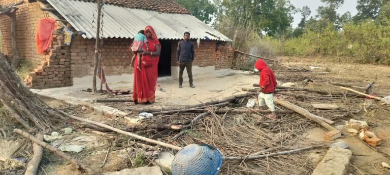 ब्यौहारी वन परिक्षेत्र में पिछले कई दिनों से हाथियों के झुंड ने उत्पाद रखा मचा