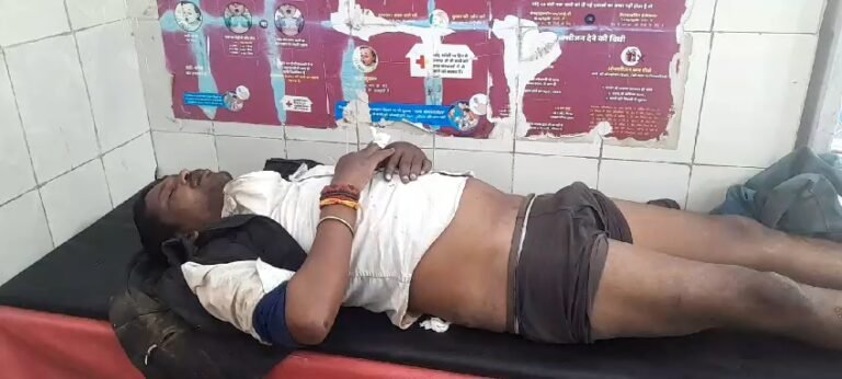 बिजावर जनपद उपाध्यक्ष पति ने अपने दो भाईयो के साथ मिलकर एक आदिबासी युवक के ऊपर किया जानलेवा हमला।