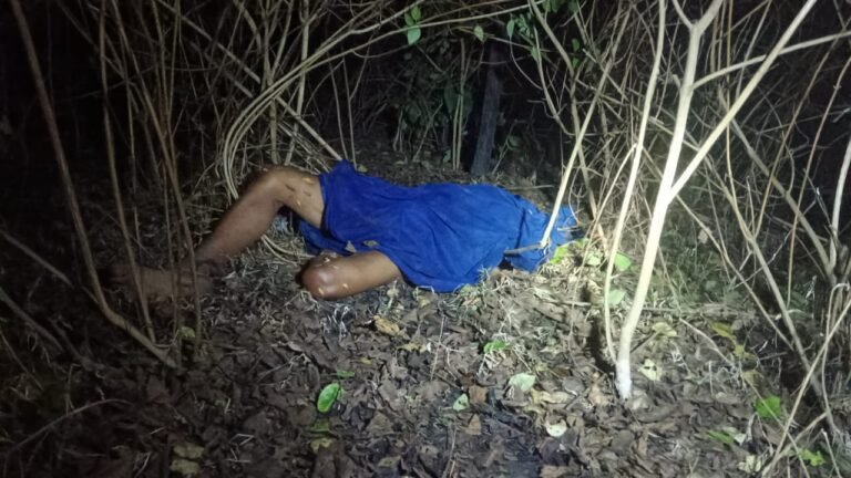 जंगल में लकड़ी बिनने गई महिला पर बाघ ने किया हमला, महिला की मौक पर हुई मौत।