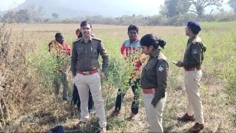 प्रेम प्रसंग के चलते युवक की नृशंस हत्या राहर के खेत मे मिला युवक का रक्त रंजित शव।
