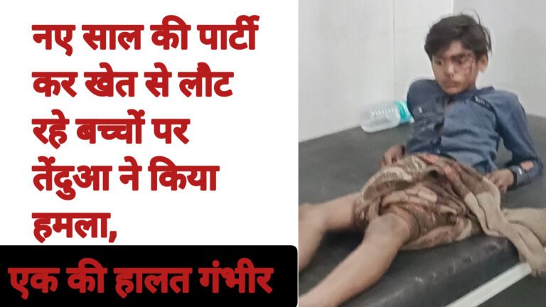 बच्चे पर तेंदुए ने किया जानलेवा हमला