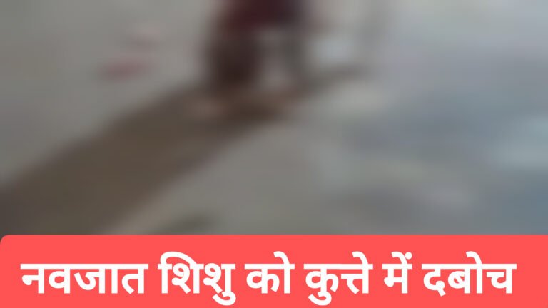 रीवा में नवजात का शव मुंह में दबाये घूम रहा था कुत्ता, वीडियो हुआ वायरल।