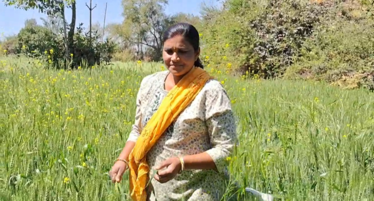 महिला सशक्तिकरण की उड़ान  गीता कुशवाहा बनीं आत्मनिर्भर किसान।