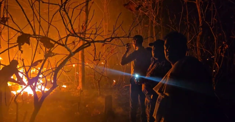 no2politics: ओरछा के बेतवा नदी के पास जंगल मे लगी आग