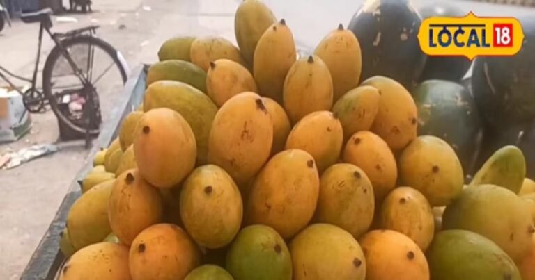 Korba News: कोरबा में फलों के राजा की धूम, बैगनपल्ली और दशहरी की जबरदस्त मांग, जानें आज के भाव