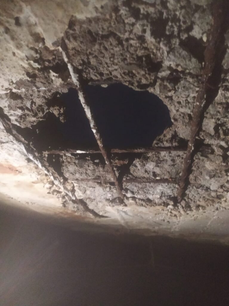 शाजापुर में आकाशीय बिजली का कहर