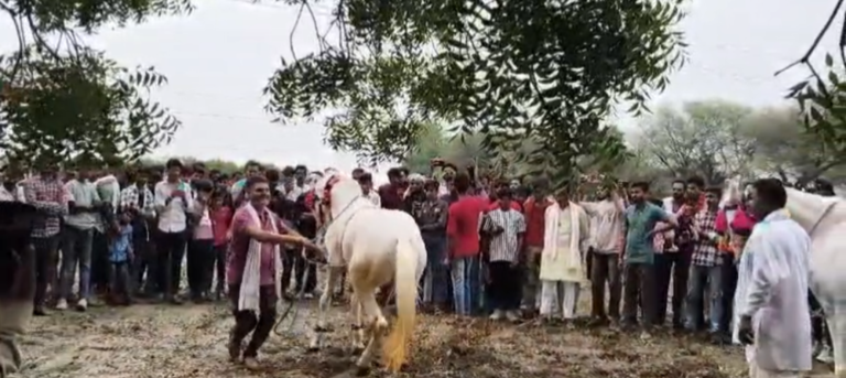 अनूठी घुड़दौड़ प्रतियोगिता का आयोजन