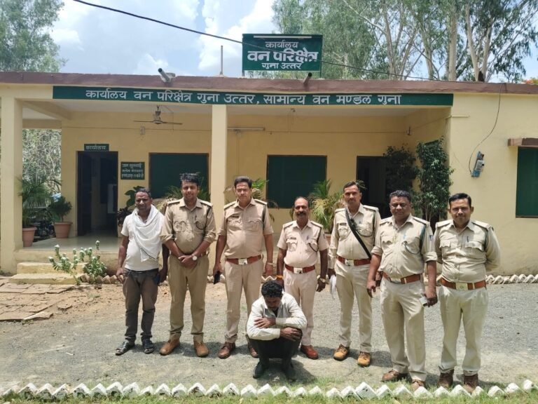गुना में वन विभाग की बड़ी कार्रवाई: विस्फोटक से जंगली सुअर का शिकार करने वाला शातिर गिरफ्तार, 8 गोले बरामद