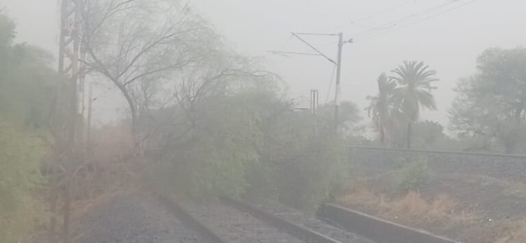 शाजापुर में आंधी-तूफान से ट्रेन प्रभावित, रेलवे ट्रैक पर गिरा पेड़