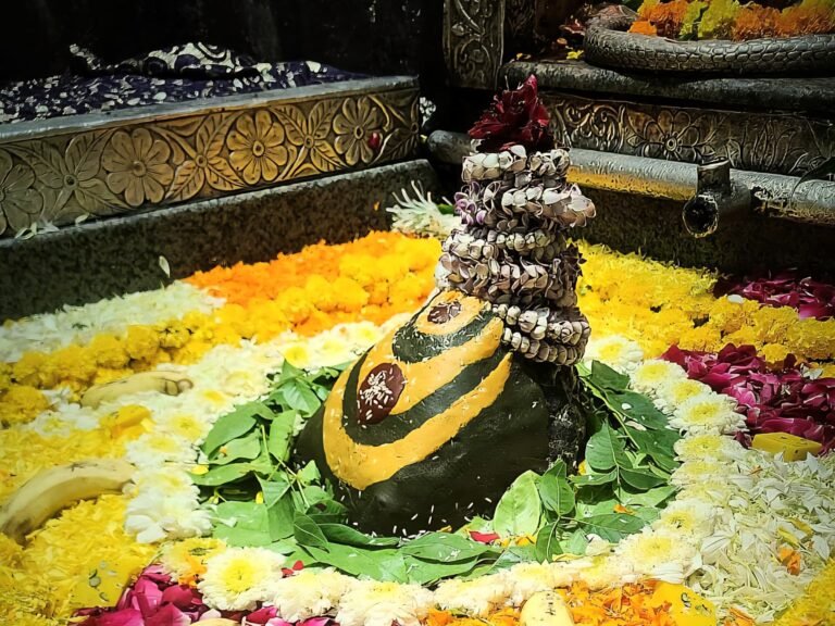 ओंकारेश्वर में ई-आराधना को मिल रहा जबरदस्त रुझान, सावन के पहले सोमवार 2925 ऑनलाइन टिकट बुक