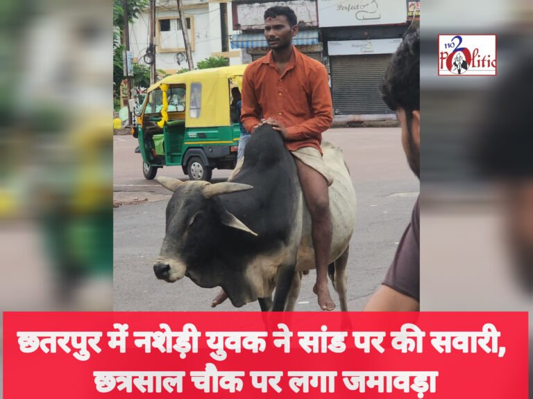 *छतरपुर में नशेड़ी युवक ने सांड पर की सवारी, छत्रसाल चौक पर लगा जमावड़ा*