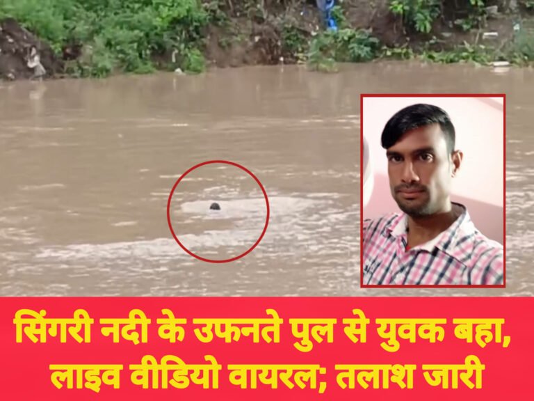 सिंगरी नदी के उफनते पुल से युवक बहा, लाइव वीडियो वायरल; तलाश जारी