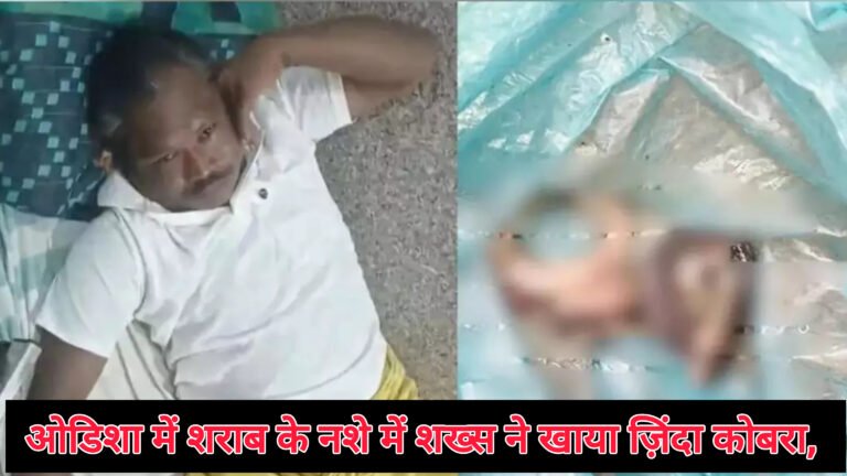 ओडिशा में शराब के नशे में शख्स ने खाया ज़िंदा कोबरा, सुरक्षित घर लौटा