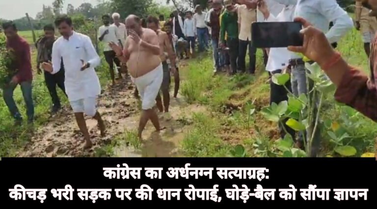 कांग्रेस का अर्धनग्न सत्याग्रह: कीचड़ भरी सड़क पर की धान रोपाई, घोड़े-बैल को सौंपा ज्ञापन