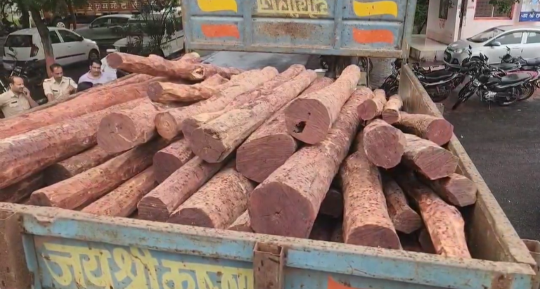मंदसौर पुलिस ने जब्त किया ₹4.5 करोड़ का अवैध लाल चंदन, 2 गिरफ्तार