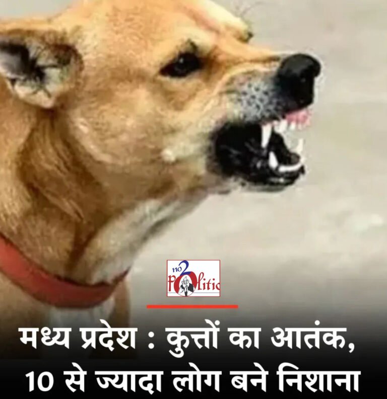 मध्य प्रदेश: शहरी इलाकों में आवारा कुत्तों का आतंक, 7 लोगों को काटा