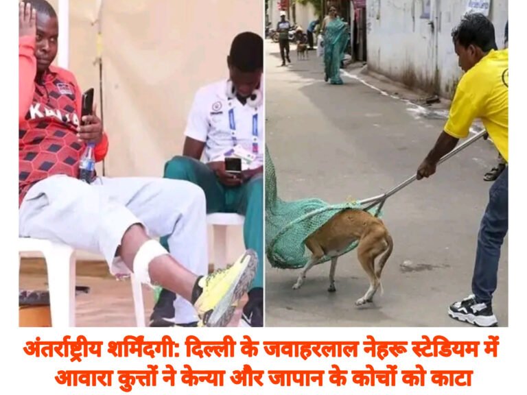 अंतर्राष्ट्रीय शर्मिंदगी: दिल्ली के जवाहरलाल नेहरू स्टेडियम में आवारा कुत्तों ने केन्या और जापान के कोचों को काटा