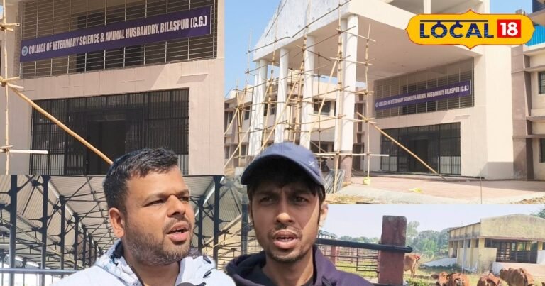 बिलासपुर वेटरनरी कॉलेज को दोबारा मिल सकती है मान्यता, VCI को 80 सीटों के लिए भेजा आवेदन