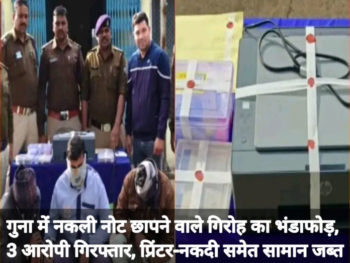 InShot_20260201_221030501