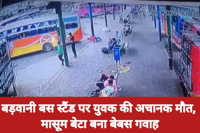 InShot_20260222_100447651