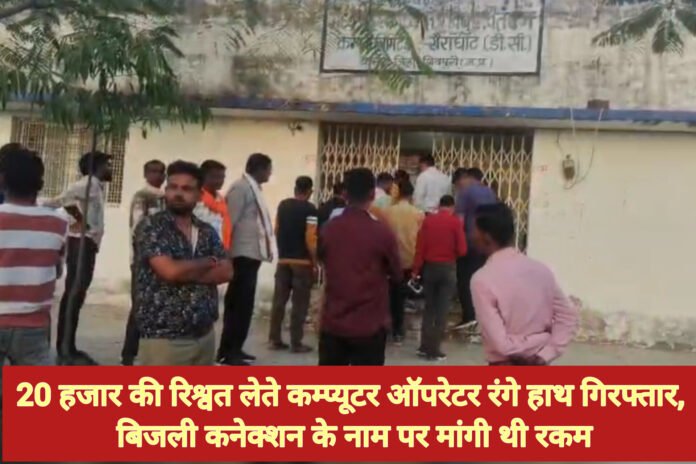 InShot_20260317_072522978