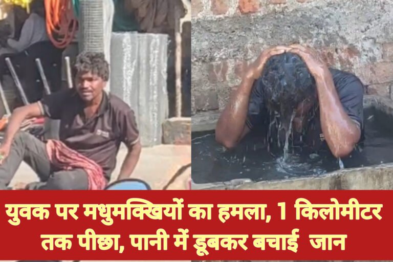 युवक पर मधुमक्खियों का हमला, 1 किलोमीटर तक पीछा, पानी में डूबकर बचाई जान