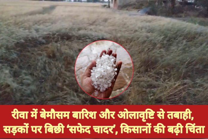 InShot_20260405_224951311