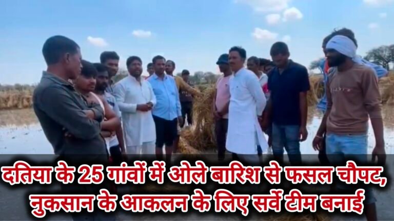 दतिया के 25 गांवों में ओले बारिश से फसल चौपट, नुकसान के आकलन के लिए सर्वे टीम बनाई
